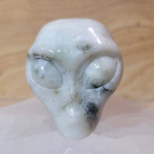 Picasso Jasper 2" Alien