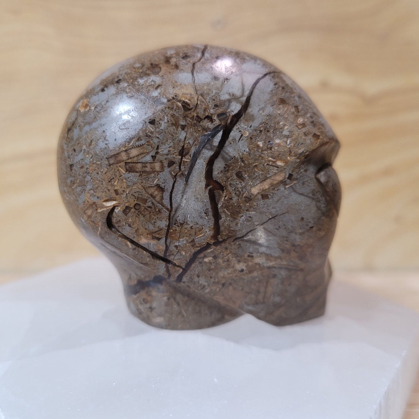 Septarian 2" Alien