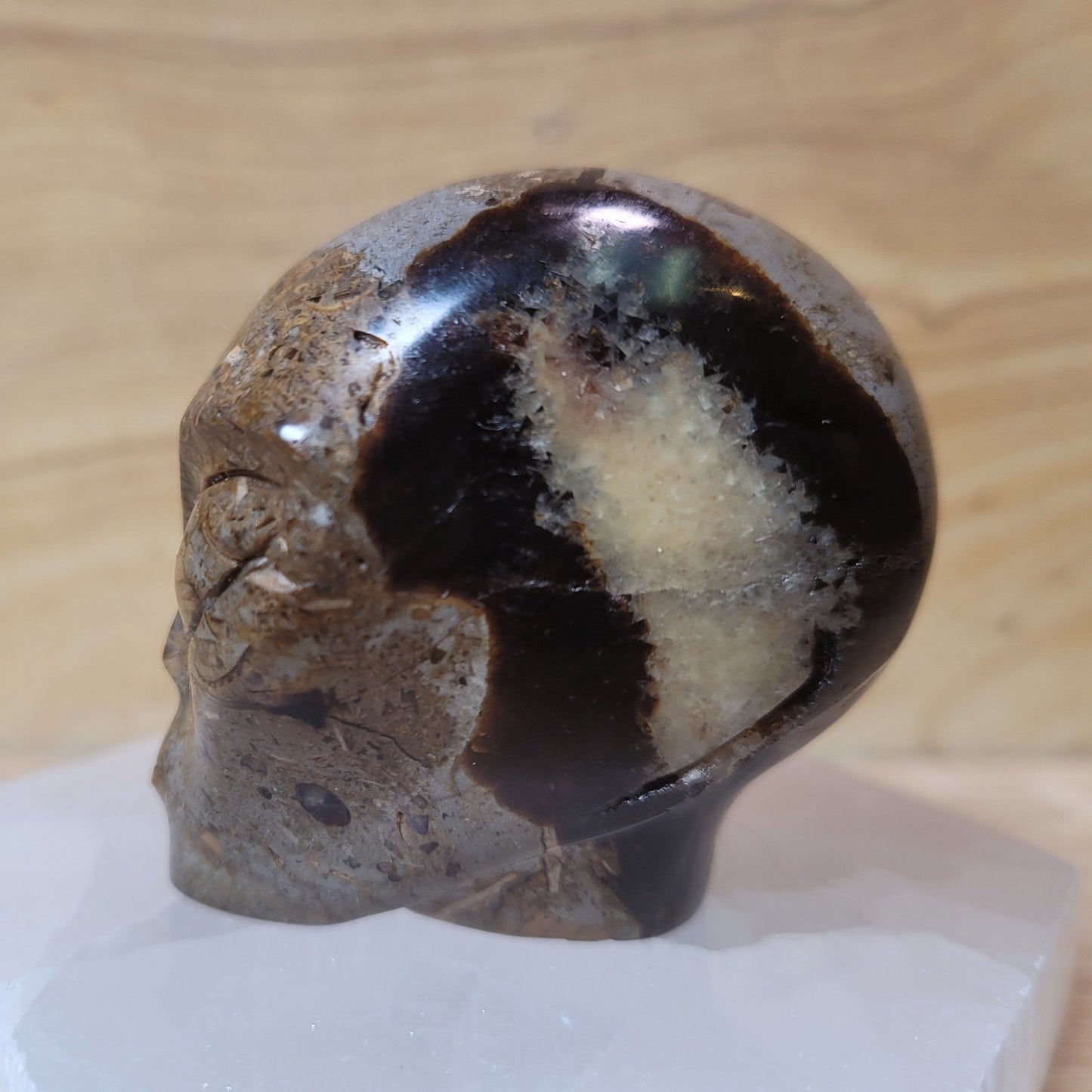 Septarian 2" Alien