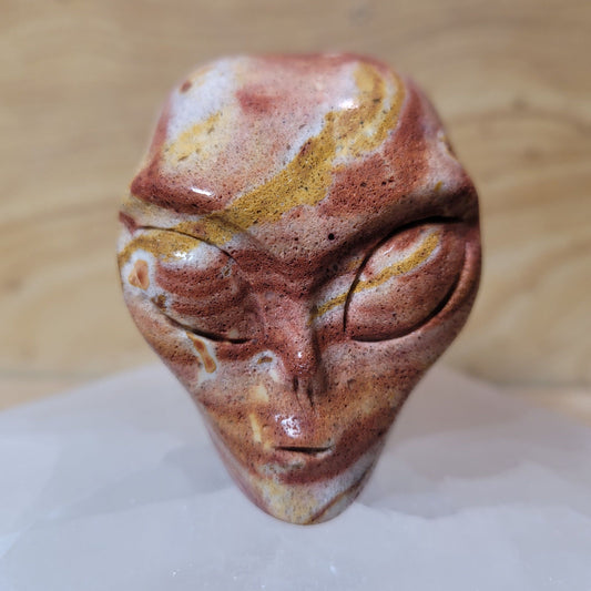 Red Zebra Jasper 2" Alien