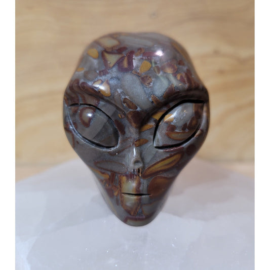 Bamboo Jasper 2" Alien