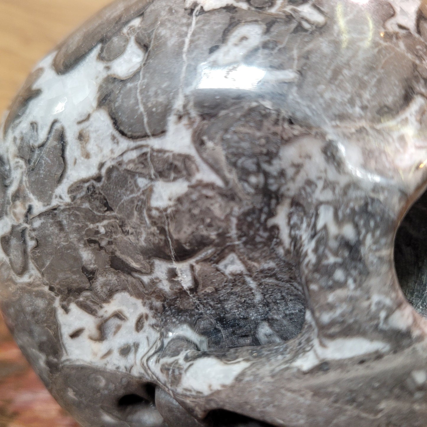 Fossil Stone 5" Skull