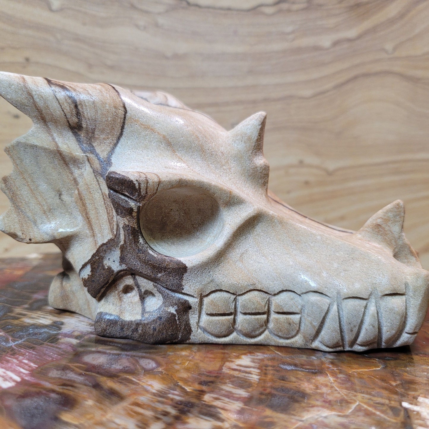 Picture Jasper 5" Dragon Skull