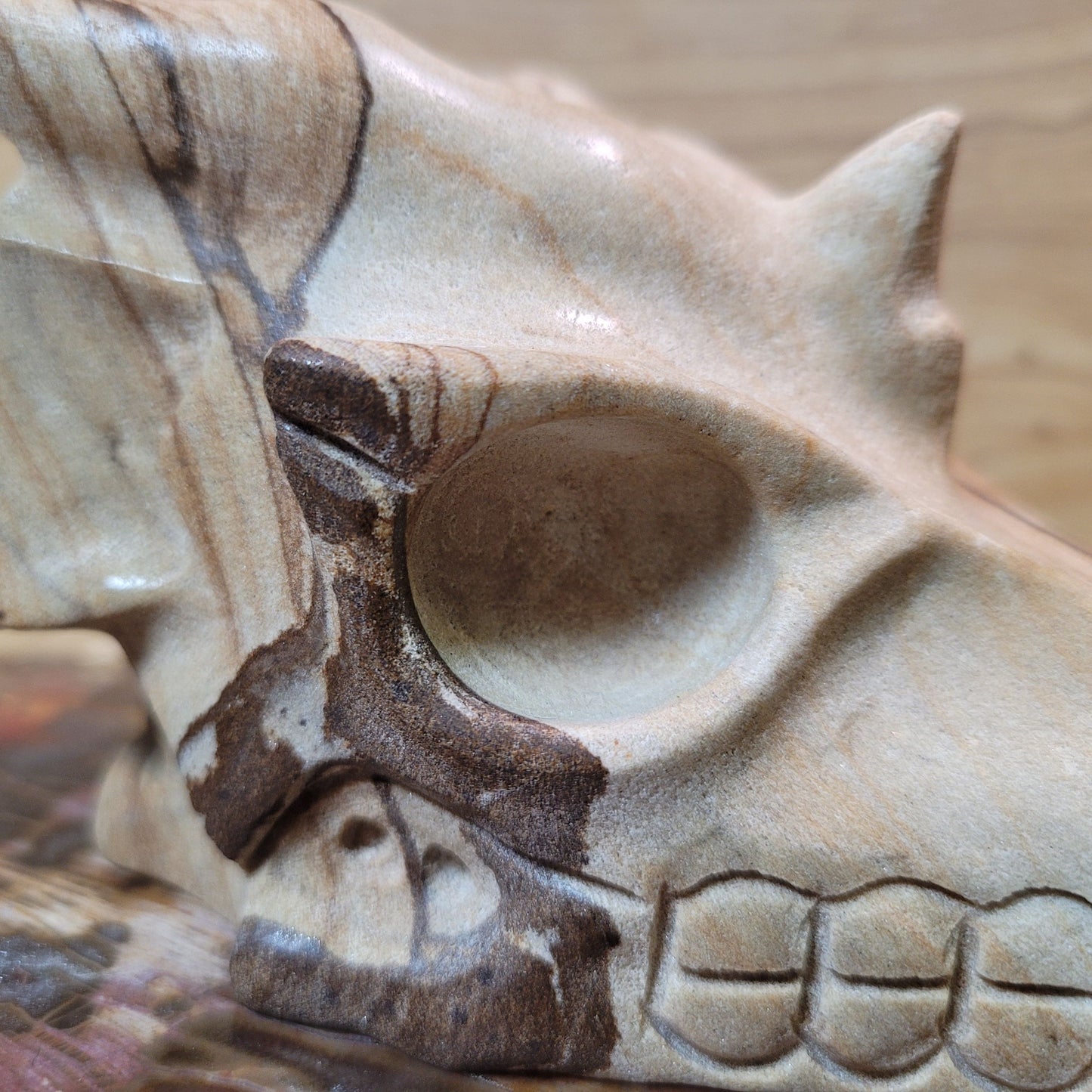 Picture Jasper 5" Dragon Skull