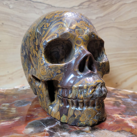 Bamboo Jasper 5" Skull