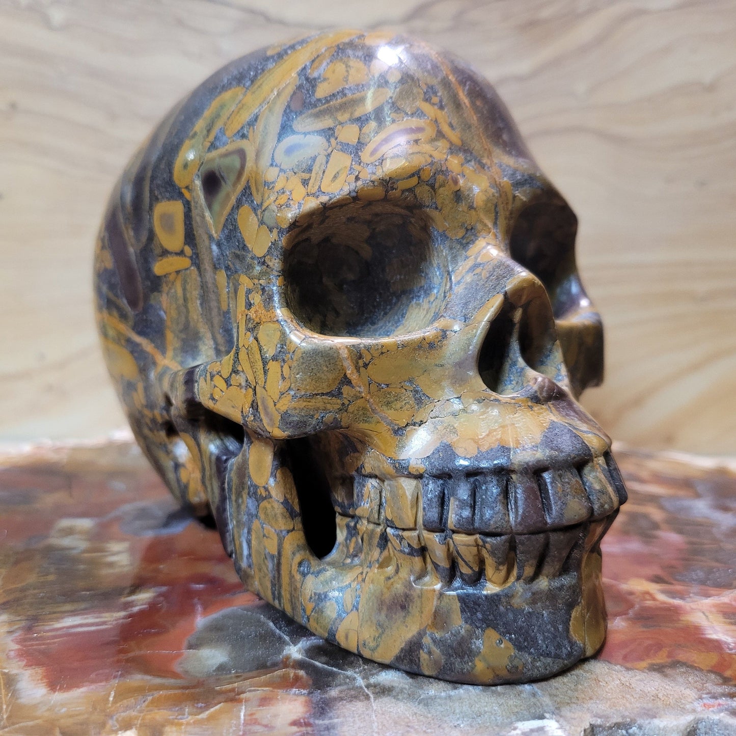 Bamboo Jasper 5" Skull