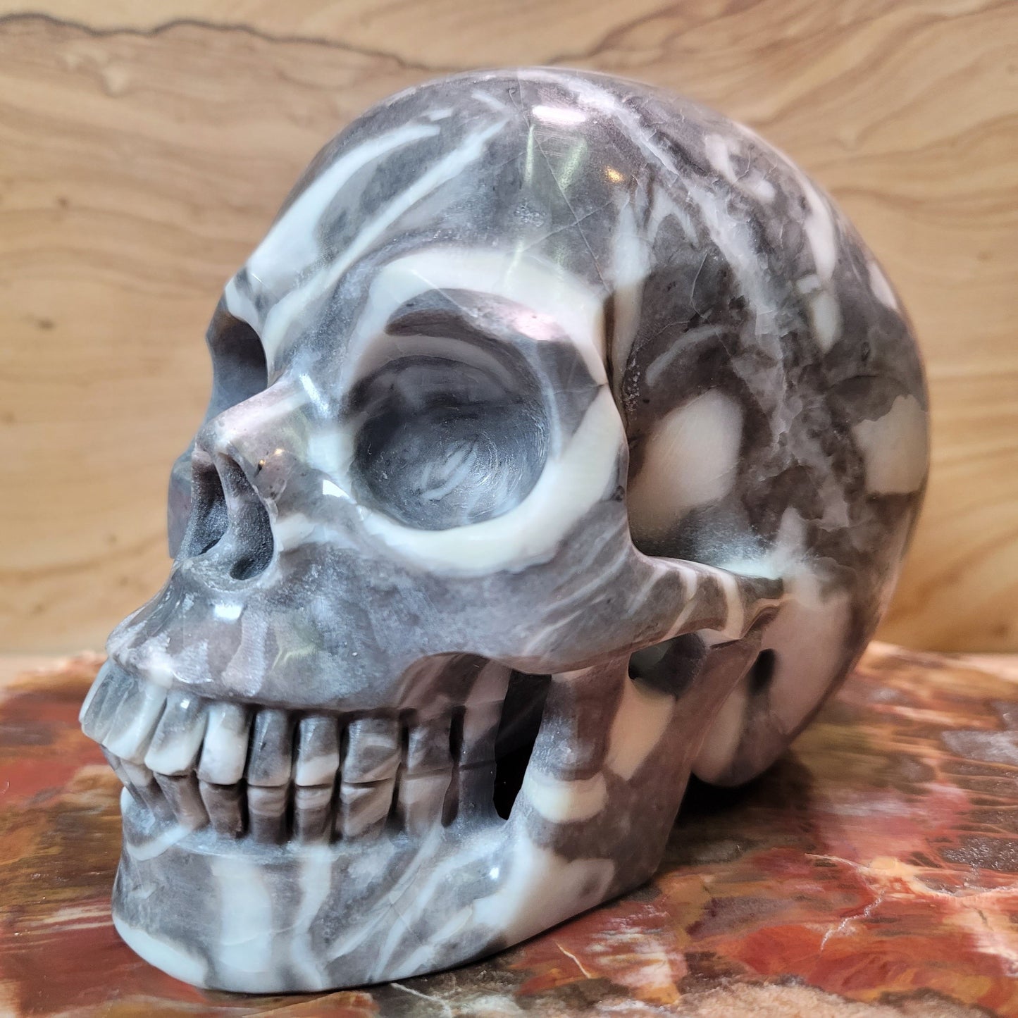 Fossil Stone 5" Skull