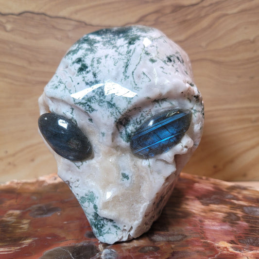 Tree Agate w Labradorite 4.1" Alien
