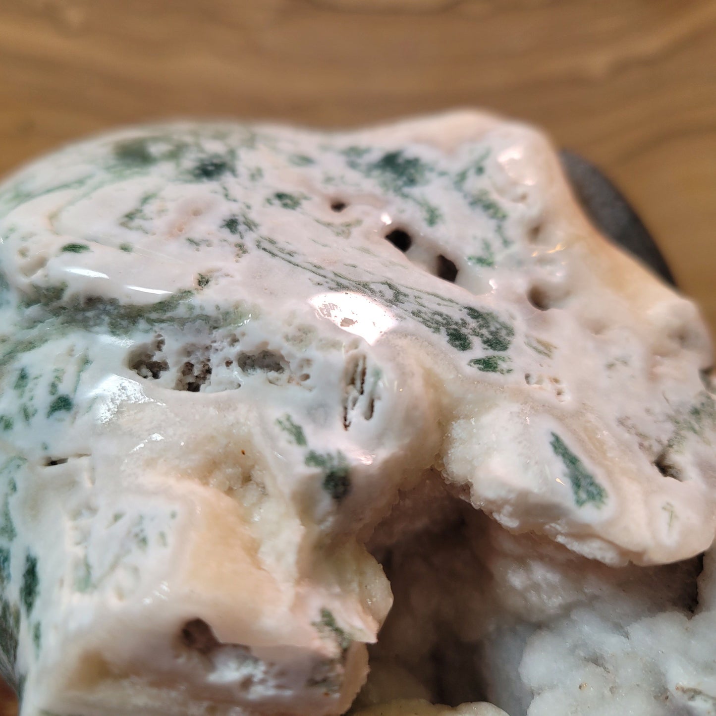 Tree Agate w Labradorite 4.1" Alien