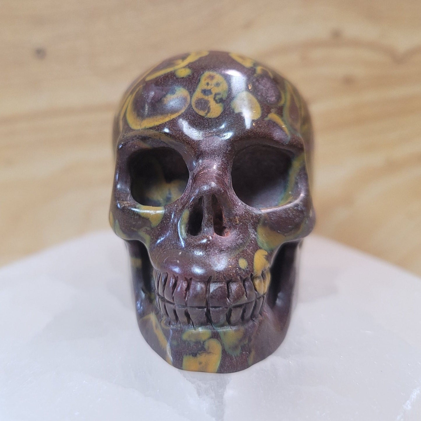 India Fossil Stone 2" Skull