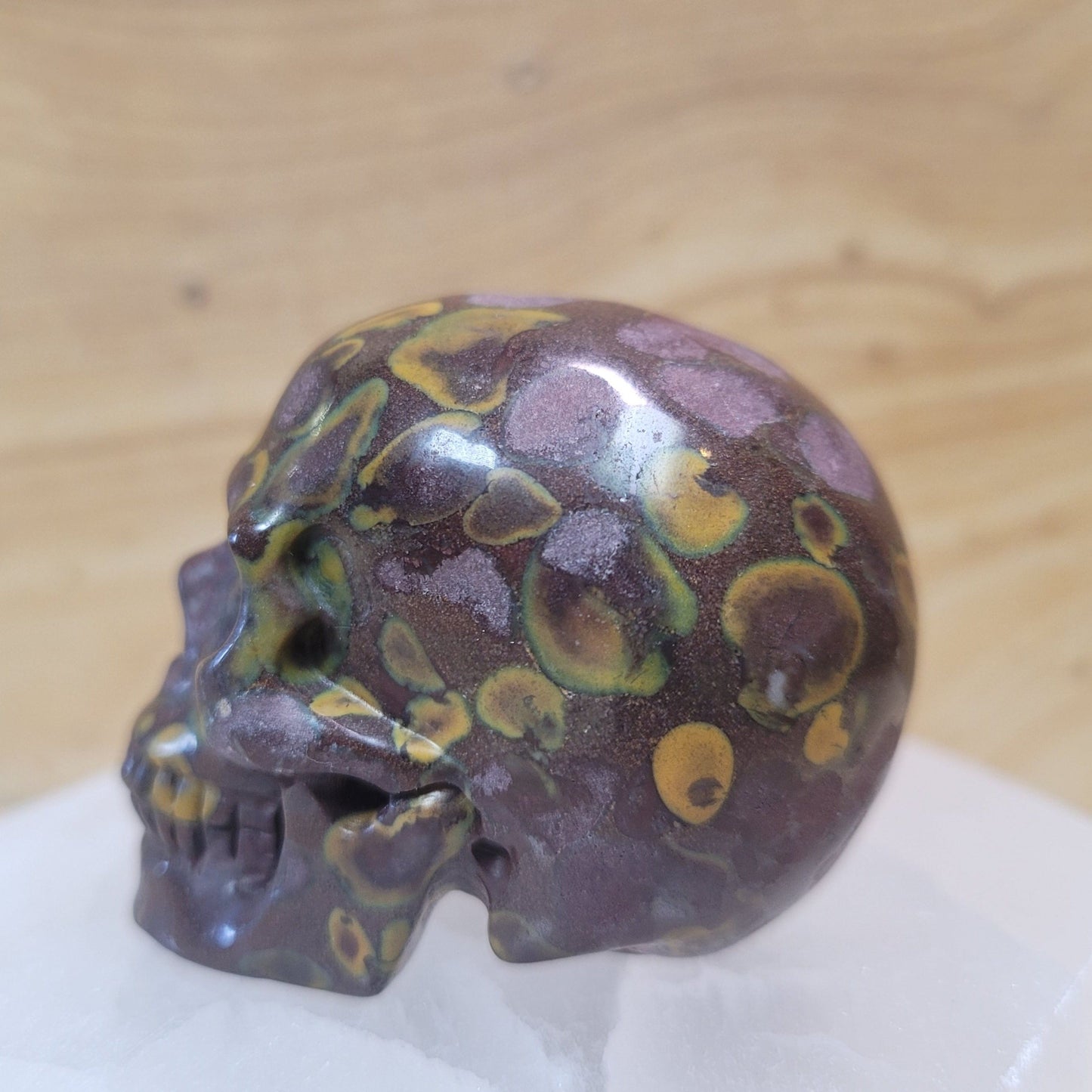 India Fossil Stone 2" Skull