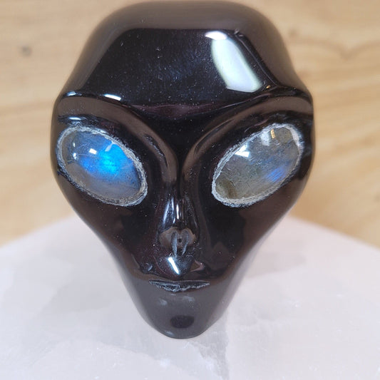 Obsidian w Labradorite 2" Alien