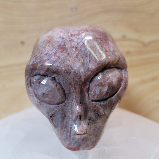 Jasper 2" Alien