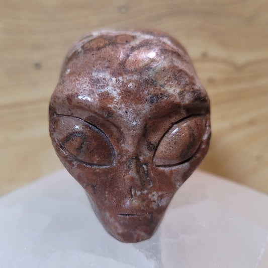 Leopard Skin Jasper  2" Alien