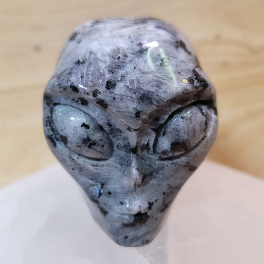 Larvikite 2" Alien