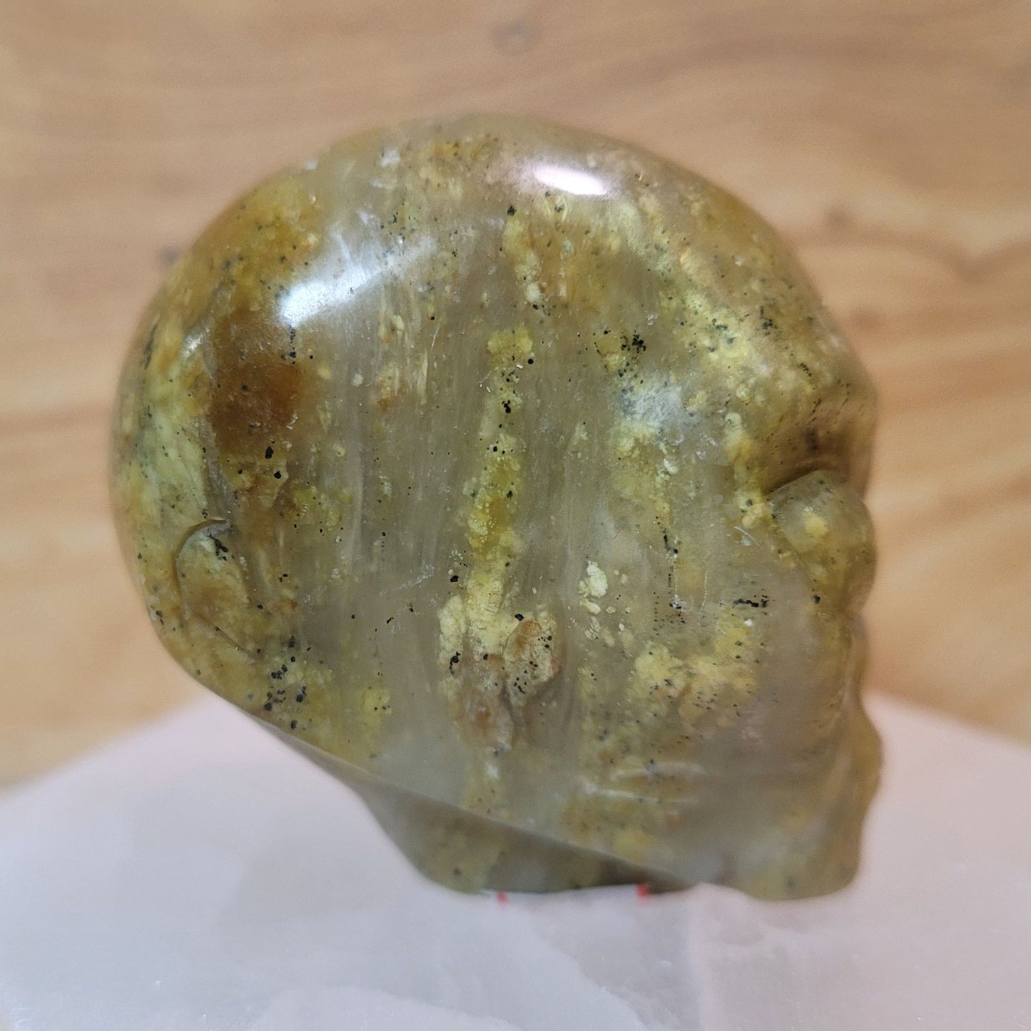 Serpentine 2" Alien