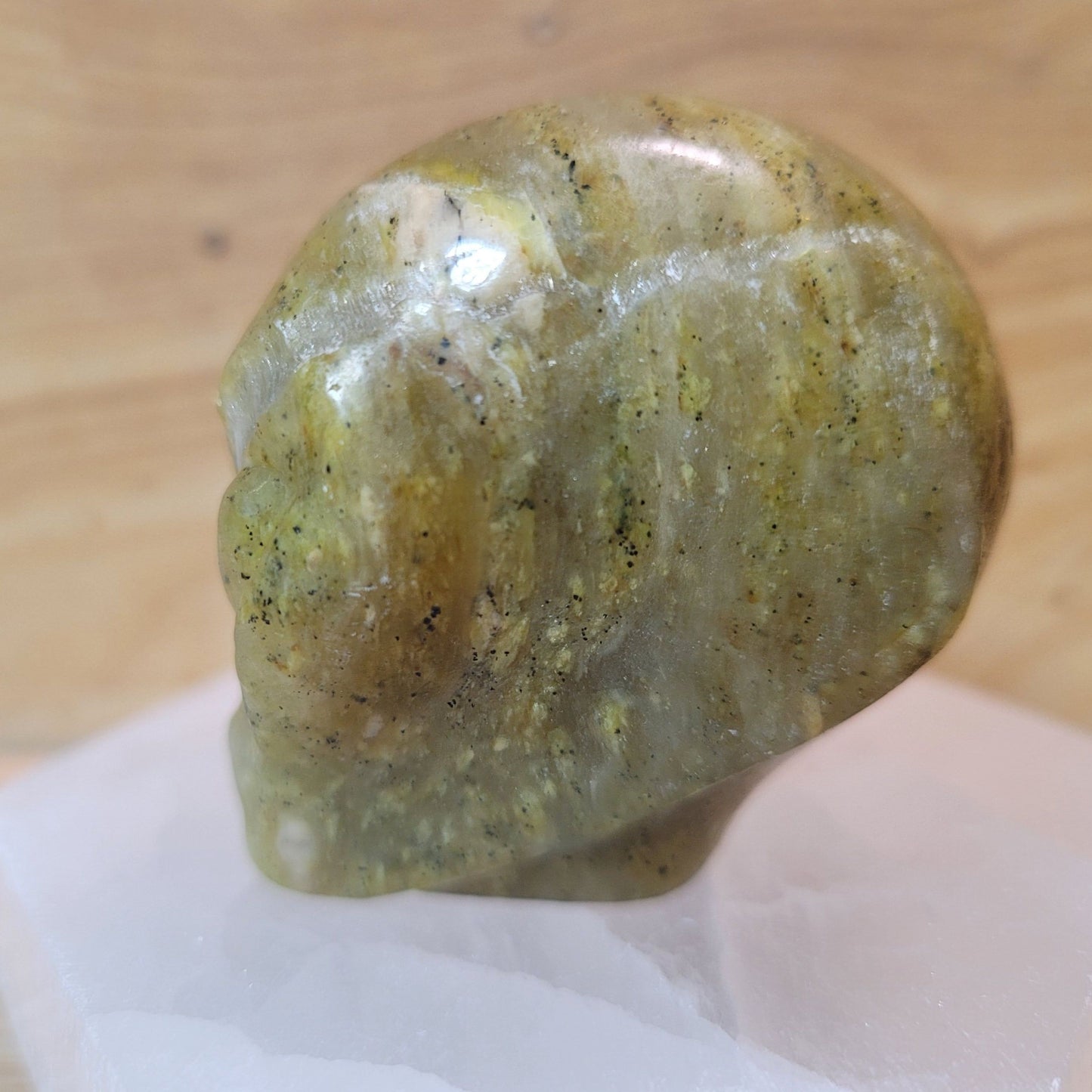 Serpentine 2" Alien