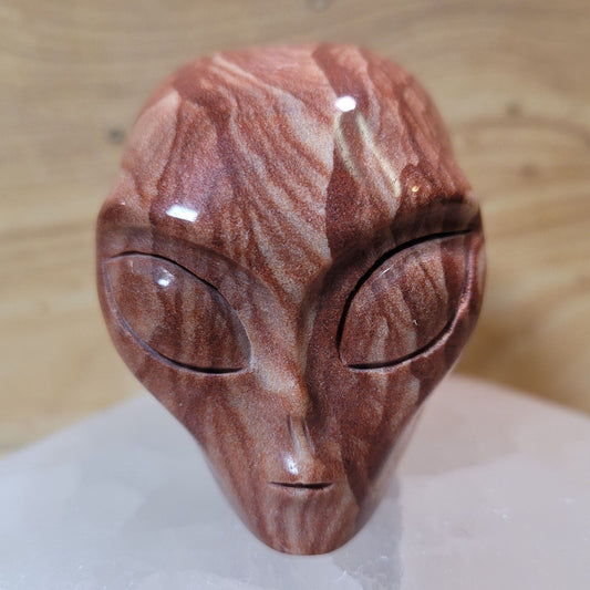 Picture Jasper 2" Alien