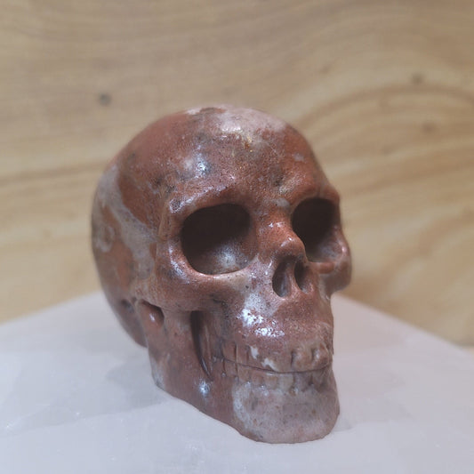 Leopard Skin Jasper 2" Skull