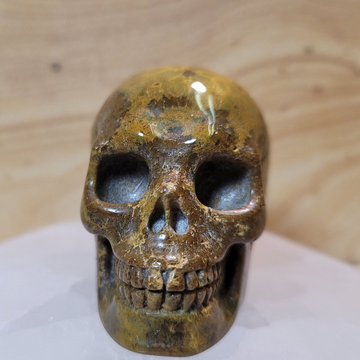 Ocean Jasper 2" Skull