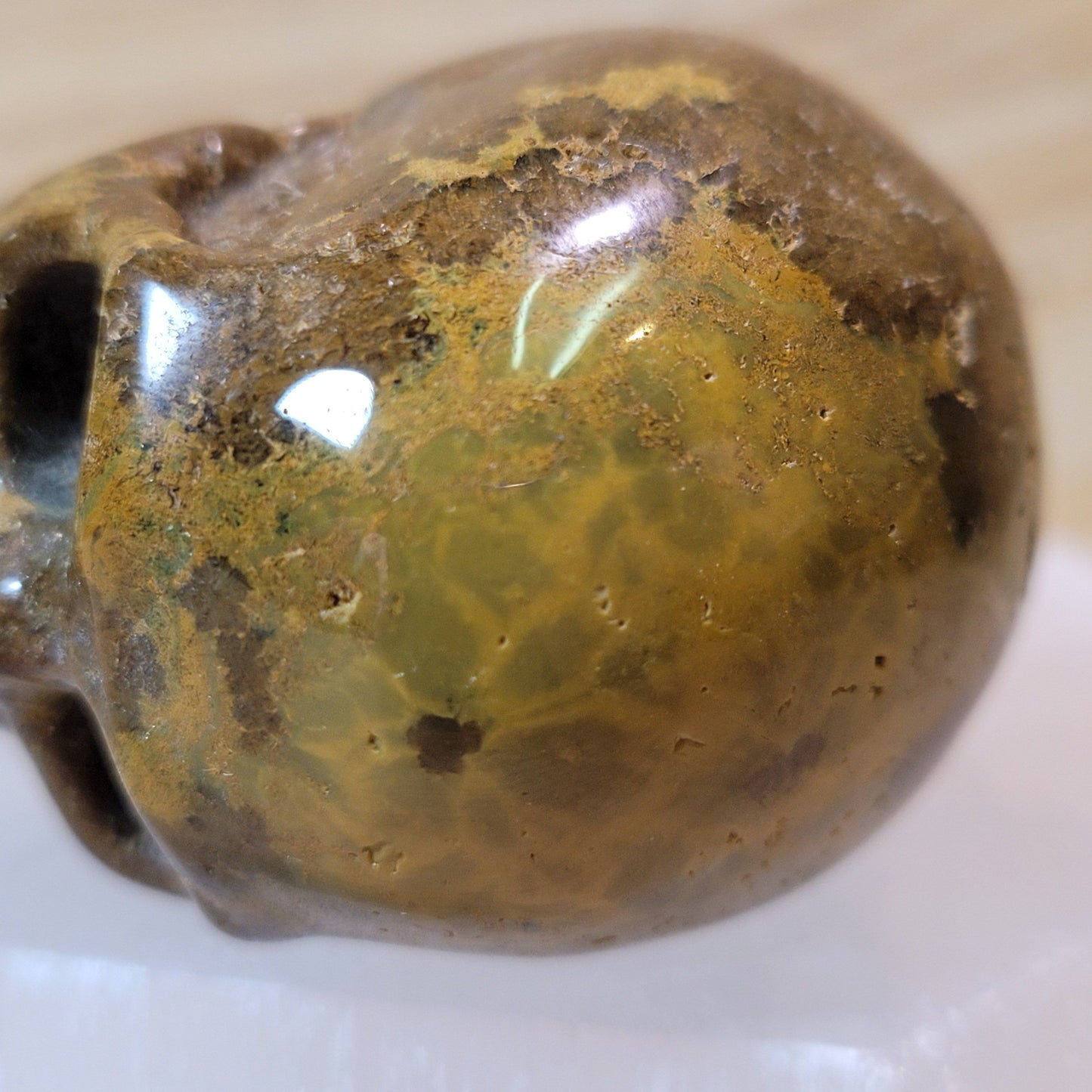 Ocean Jasper 2" Skull