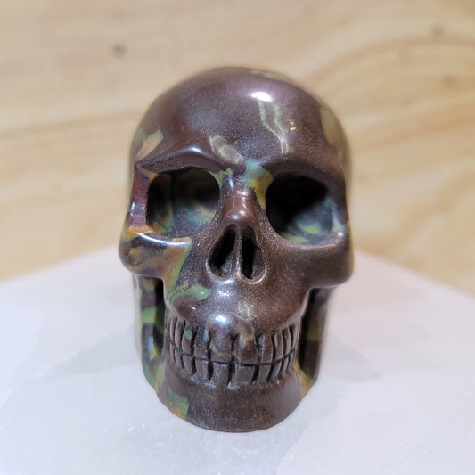 India Fossil Stone 2" Skull