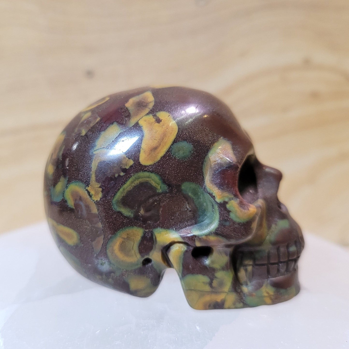 India Fossil Stone 2" Skull