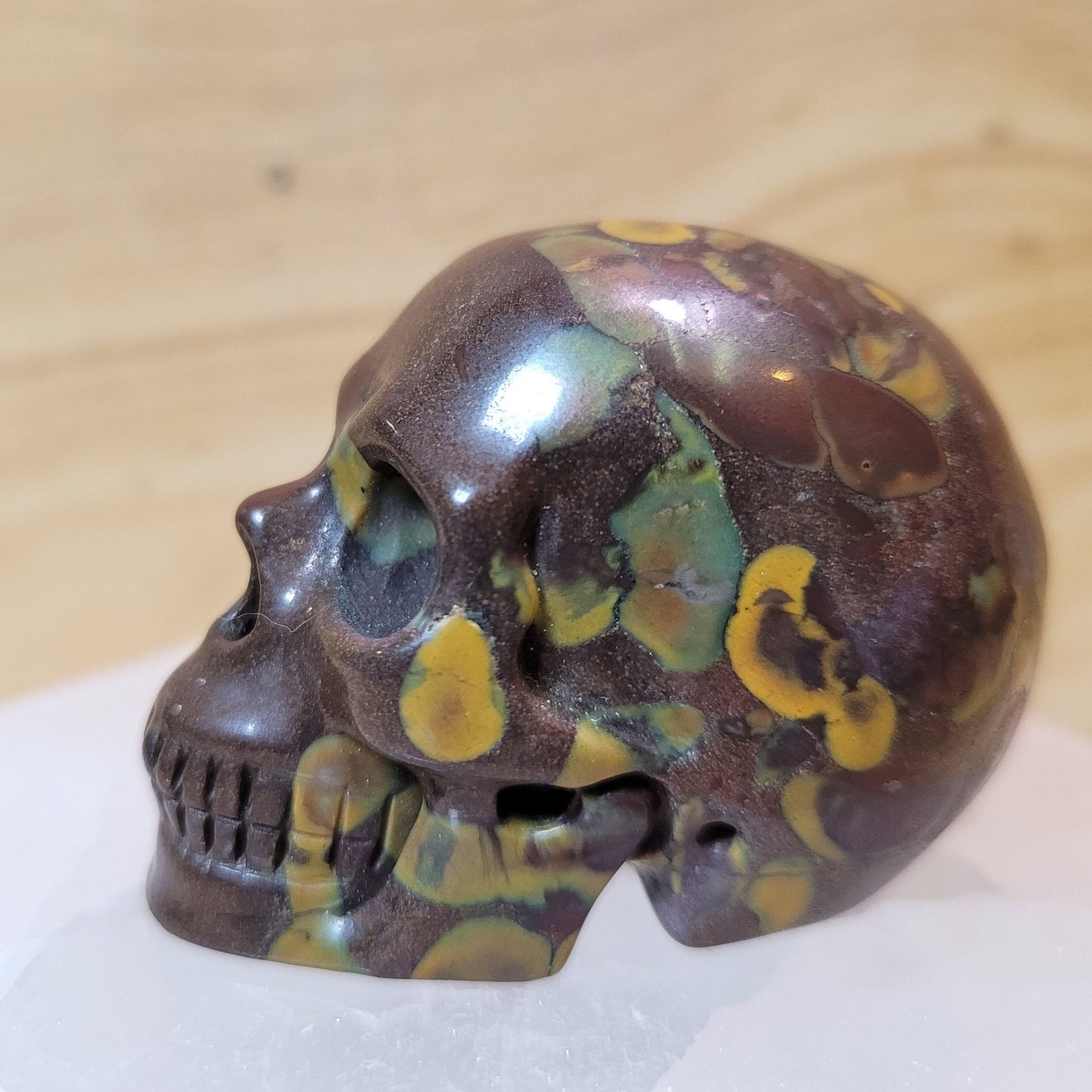 India Fossil Stone 2" Skull