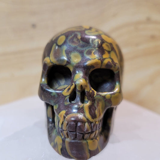 India Fossil Stone 2" Skull