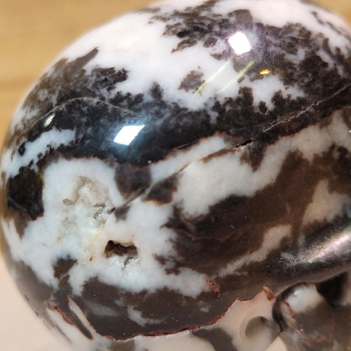 Black Zebra Jasper 2" Skull