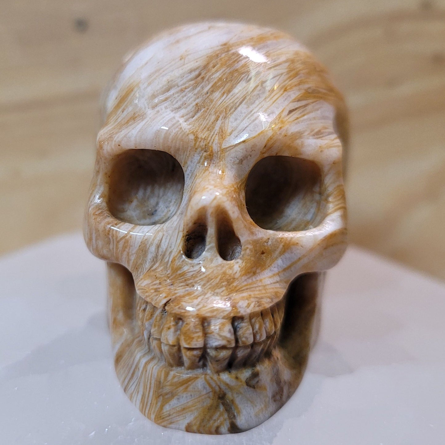 Sagentic Jasper 2" Skull