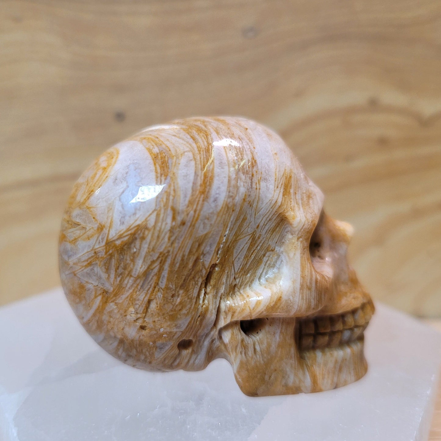 Sagentic Jasper 2" Skull