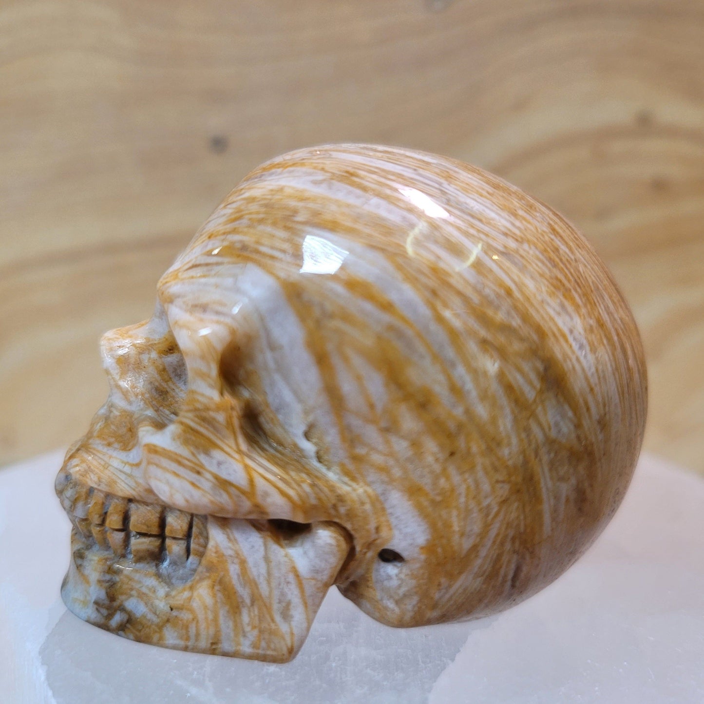 Sagentic Jasper 2" Skull