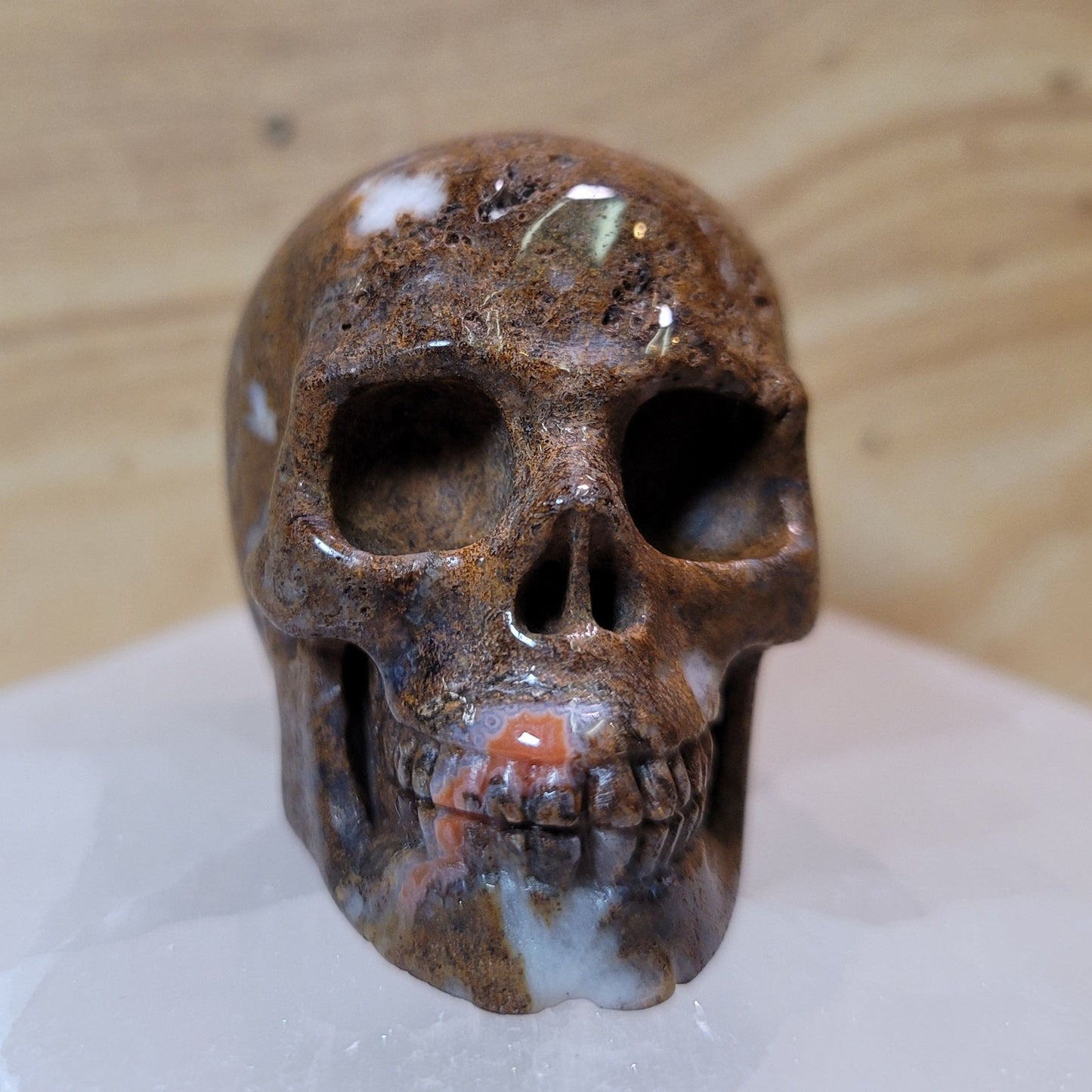 Pietersite 2" Skull