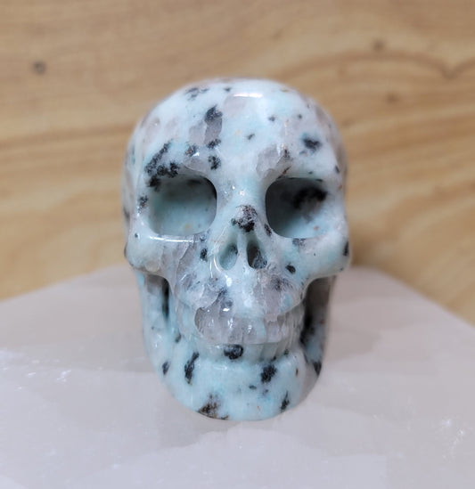 Lotus Jasper 2" Skull