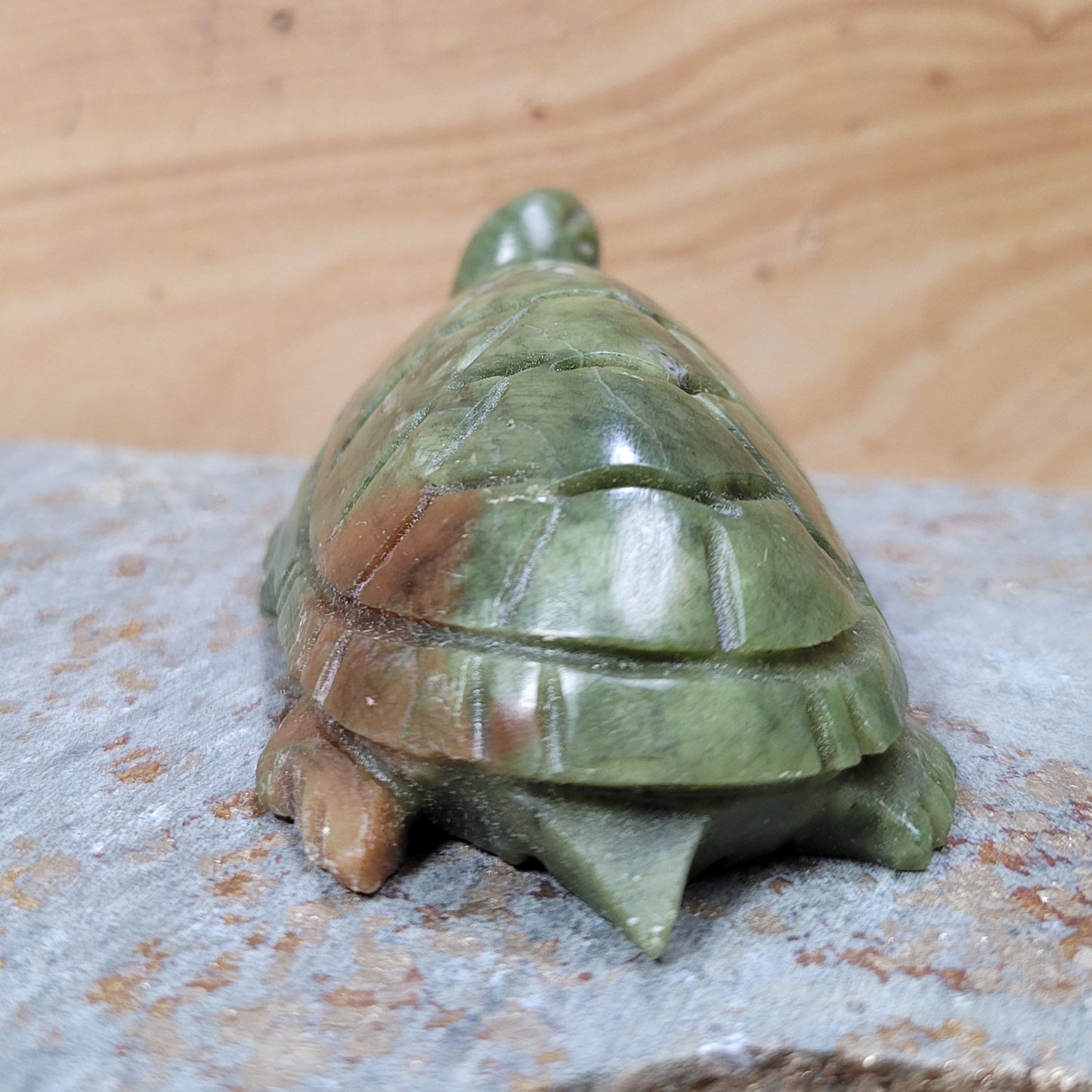 Verdite Turtle