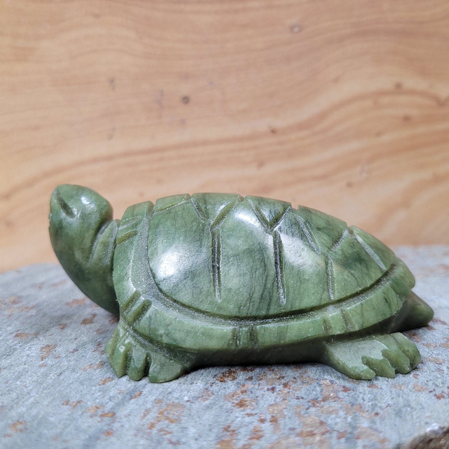 Verdite Turtle