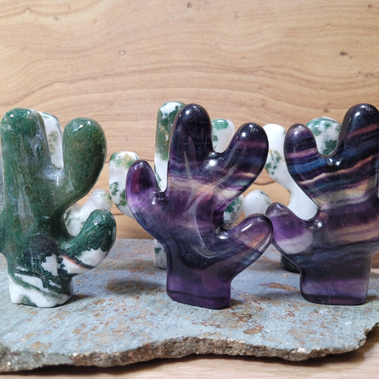 Cactus Carving