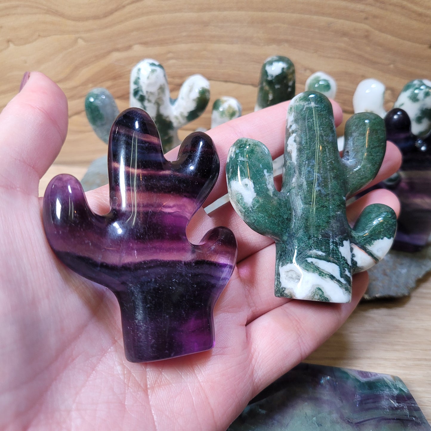 Cactus Carving