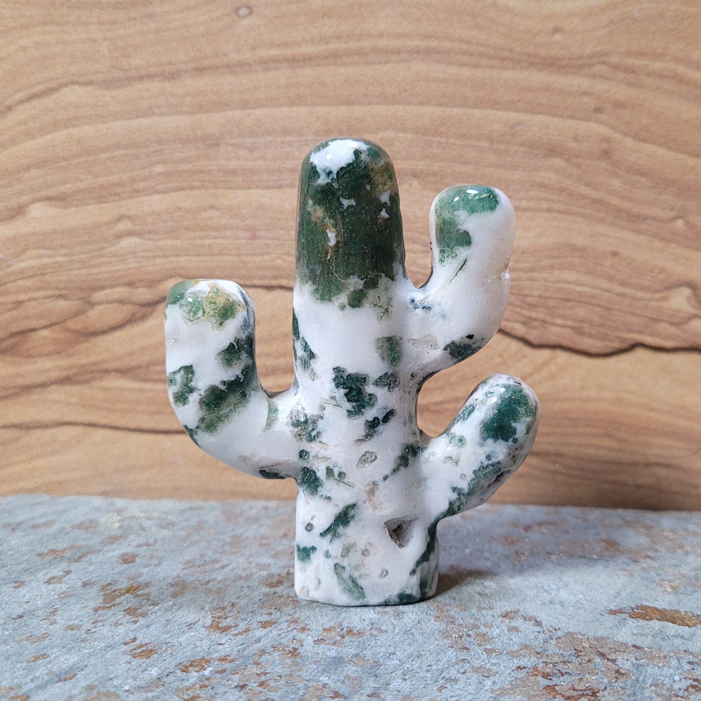 Cactus Carving