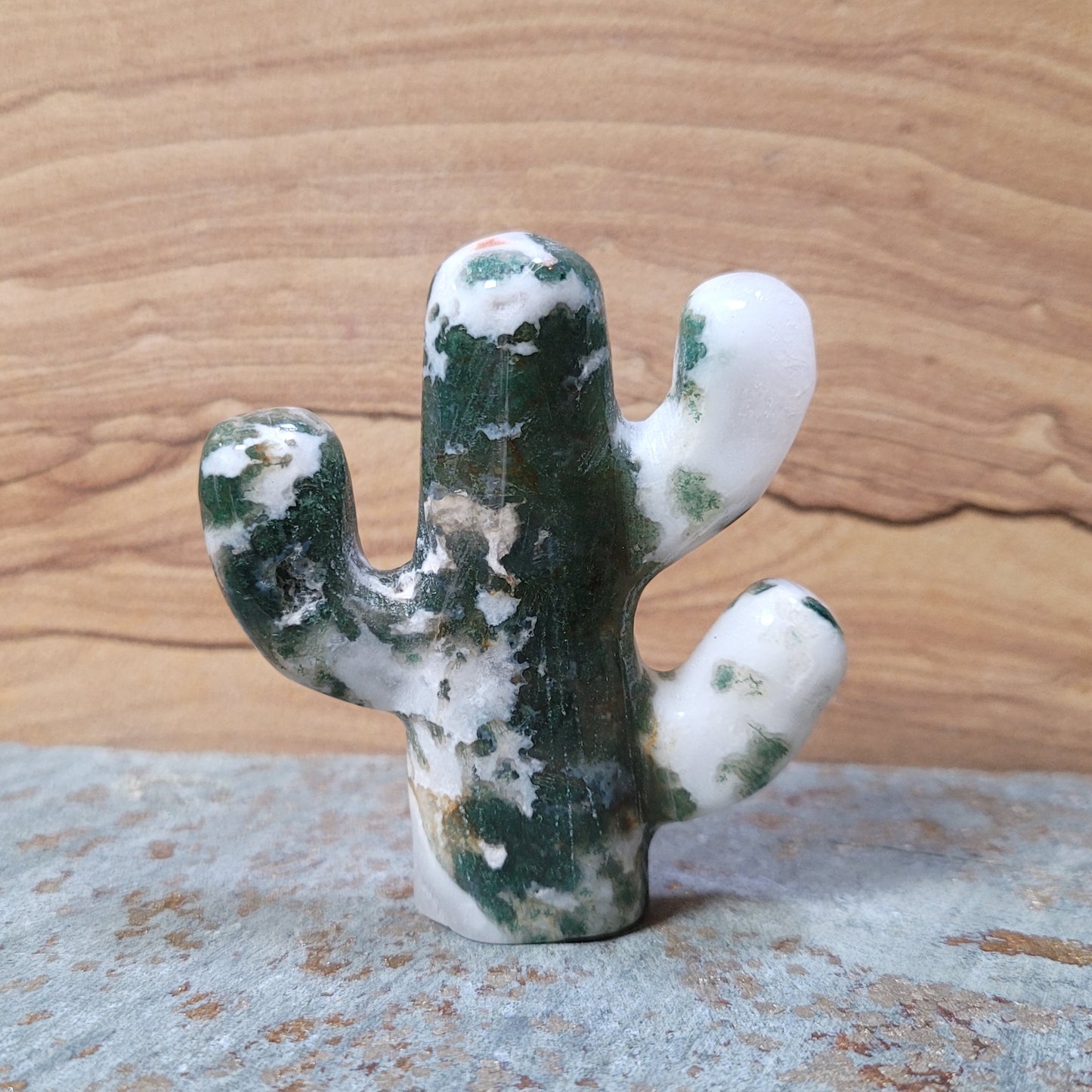 Cactus Carving