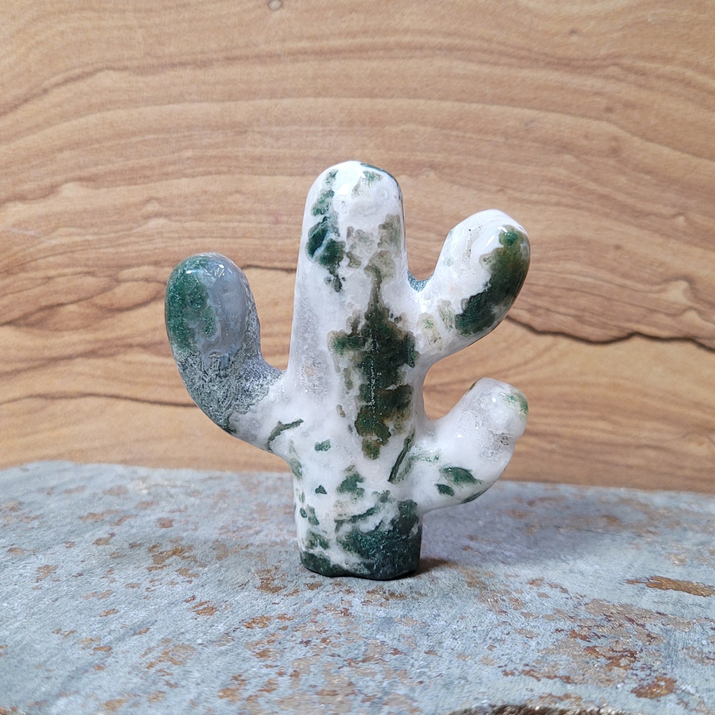 Cactus Carving