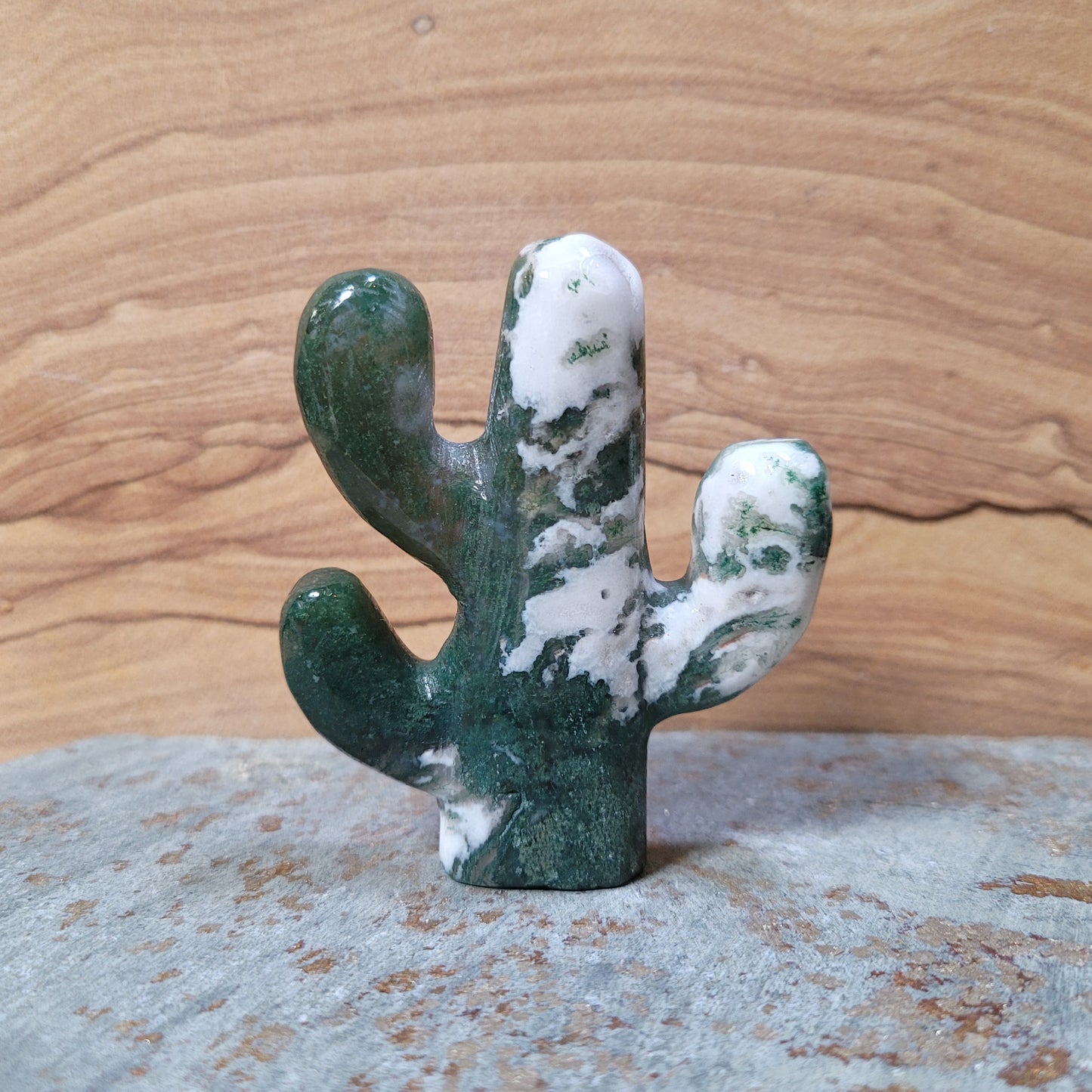 Cactus Carving