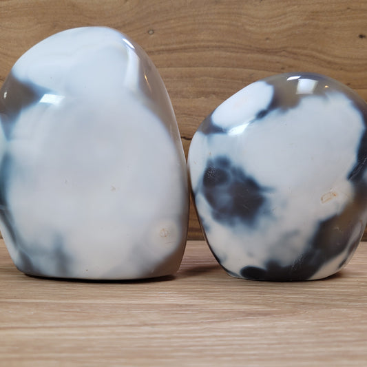 Orca Agate Free-form