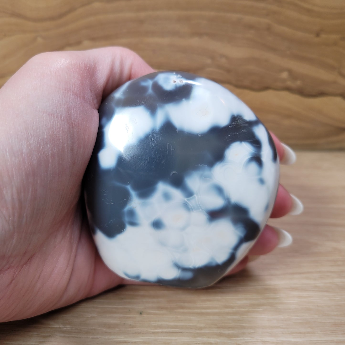 Orca Agate Free-form