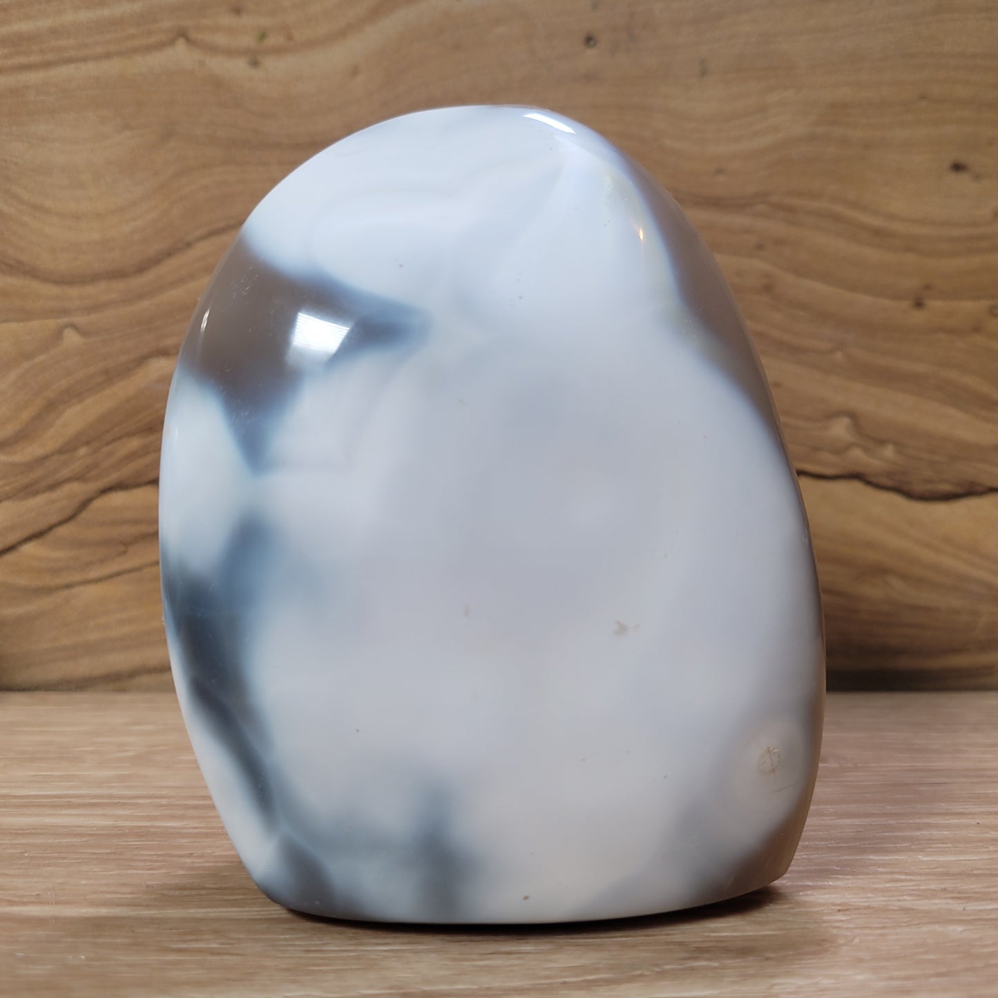 Orca Agate Free-form