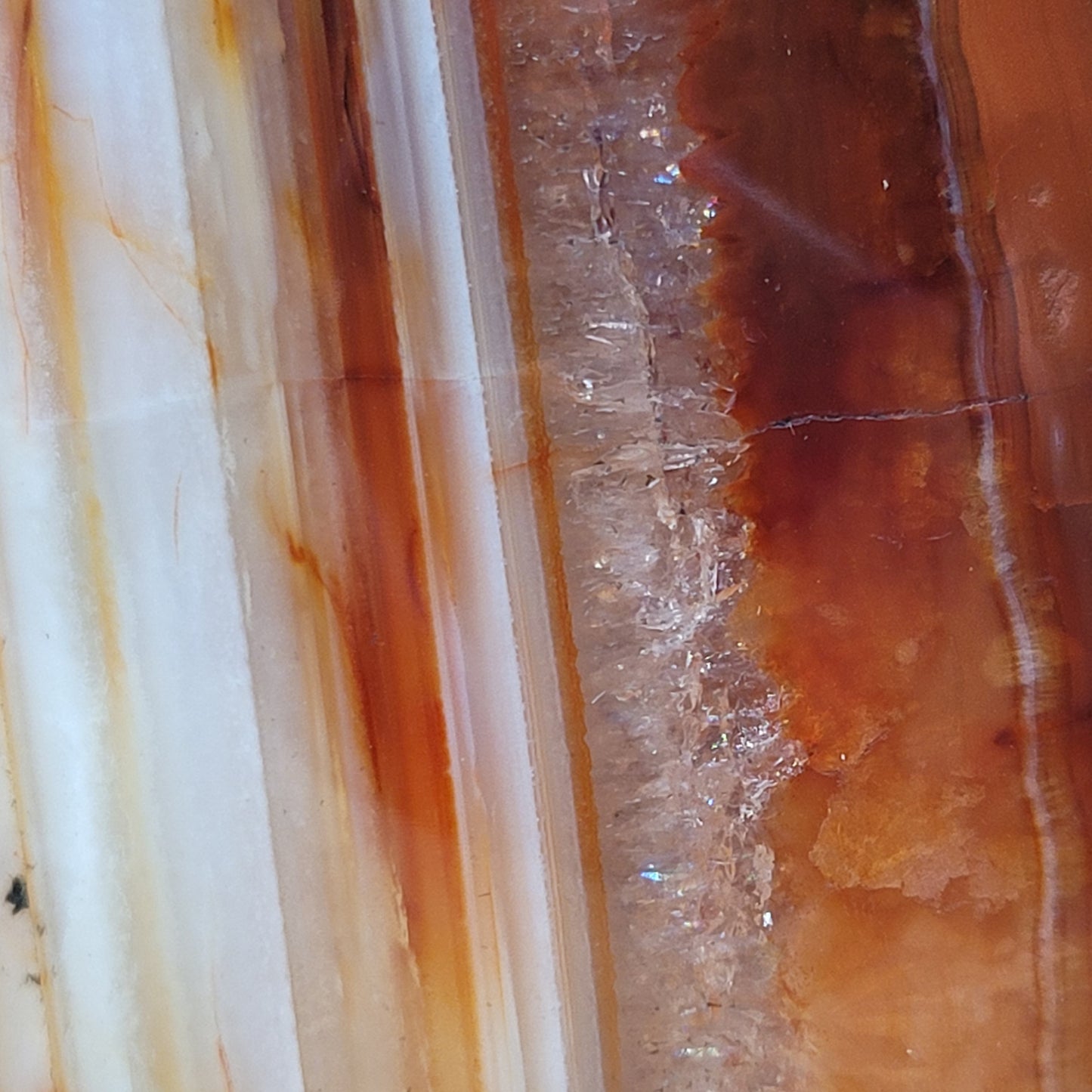 Carnelian Freeform