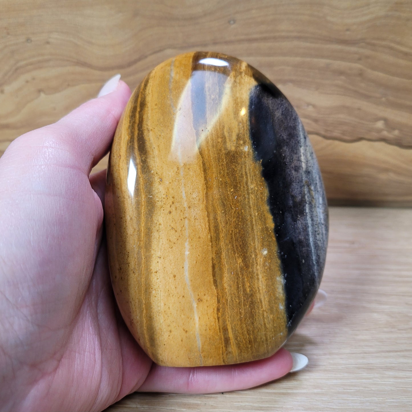 Petrified Palmwood Free-form