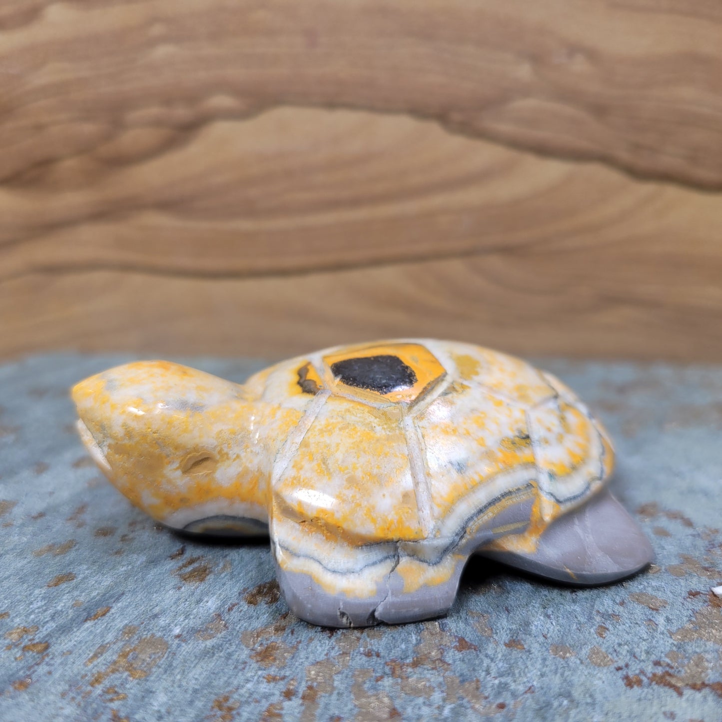 Bumblebee Jasper Turtle