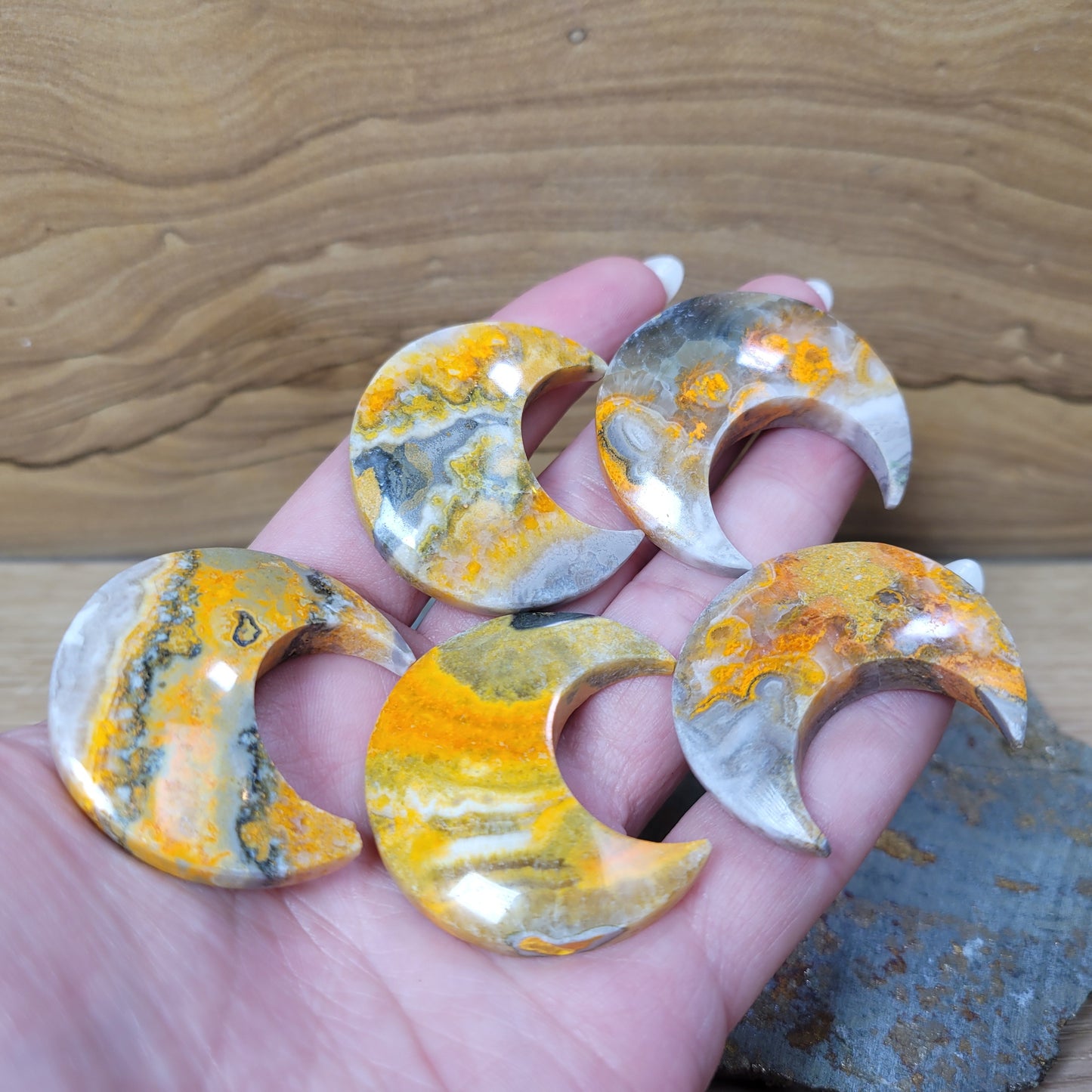 Bumblebee Jasper Moon